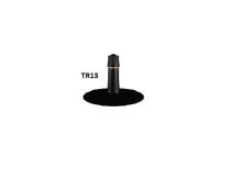 tr13 (1)